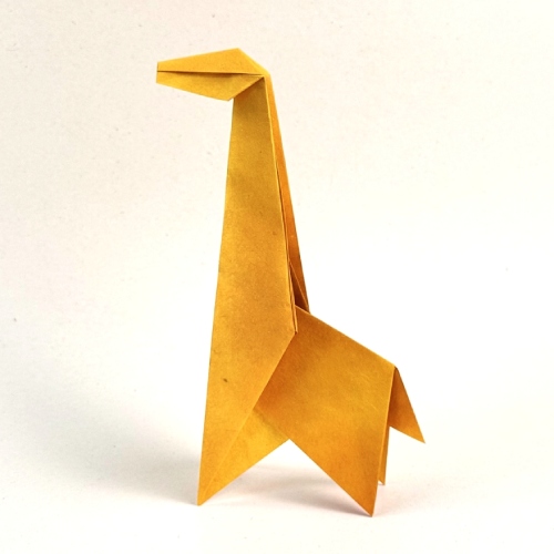 Hard origami illustration