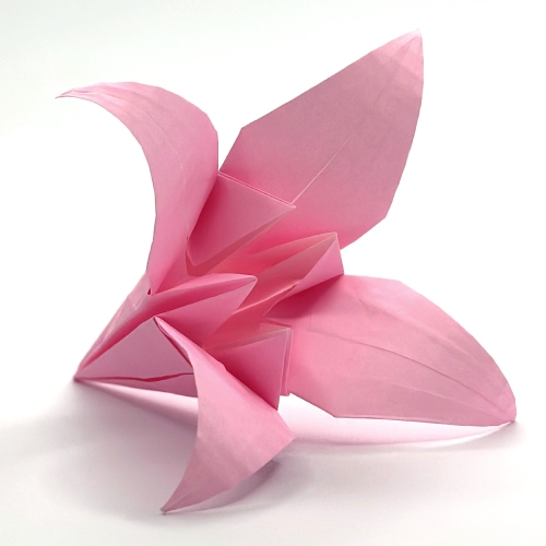 Medium origami illustration